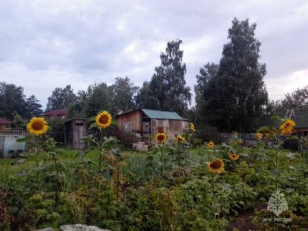 ������� ������ ������� � �������� ������