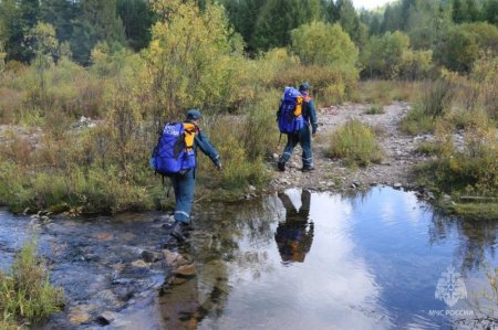 ��� ���������� �������������: ����������� ��� ����� ��������� ����� �������� � ��������