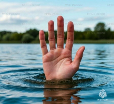 ������� ������ �� ����� ������� � ���� ����