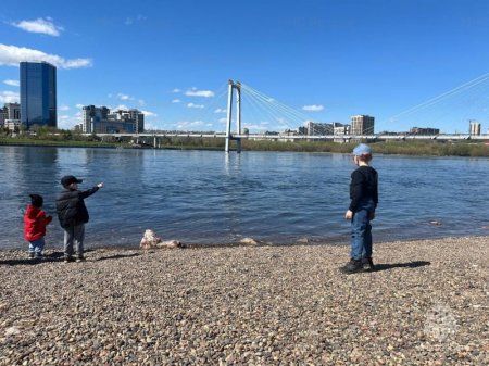 �� �������� ������ ������� ������