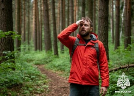 ����������� � �� ����������: ��� ������ �������������, ��� �� ���������� ����� � ������ �����