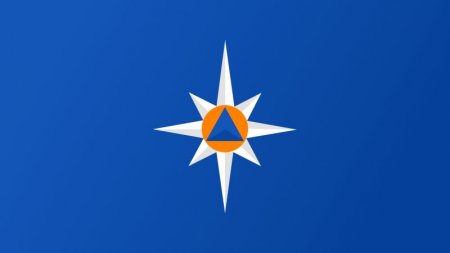 ��� ������ �� �����: ��������� ��������� �� ������ �� ���� ��������������