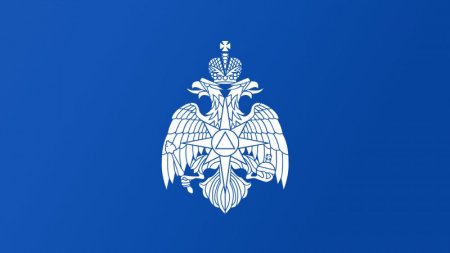 ������ ����������� ��������� � �������� ���������������� ������ ��