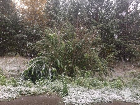 � ��������� ����� � ������� ���������� ���������, � �������� ������� ��������� ����� � ������ ������