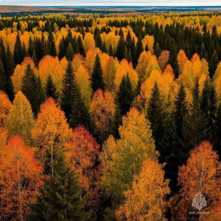 � ������-������� ������ ���������� ������� ��������������� ����� 5-7 ��������