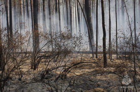 � ���� ������� ��������� ������� ���������� ���������, ������� – ������� � ������������ ��������������� �����