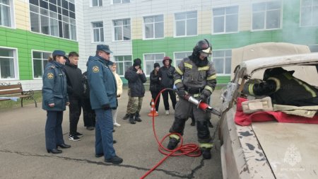 ����������� ��������������� ��������� «���������������� ����������» ������ � ��������� ������