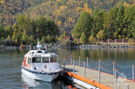 ������� ����������� ��������� �� ����� ��������� ������� �� ����������� ���� ������