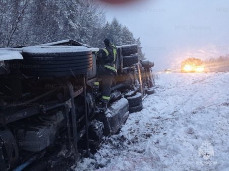 � ������������ � ������ ����������