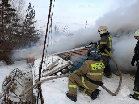 83 ������ � ���� ������: ����� ��������� ������ ������ �������-������������ ��������