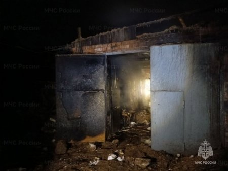 ������� ������� ����� �� ������ � �����