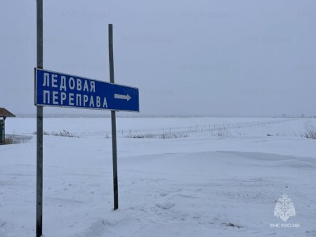 ������ � ������� ������� ��������� �������