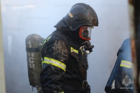 �������� ����� ���������� �� 24,6% — ��������� ������ ������������� ���������� � 2025 ����