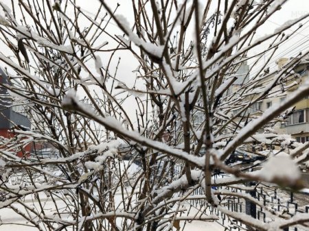 17-19 ������ � ��������� ������� ���������� ������� ������