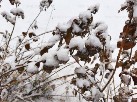 ��������� �������� ������ ���������� � ��������� ������� 22-23 ������