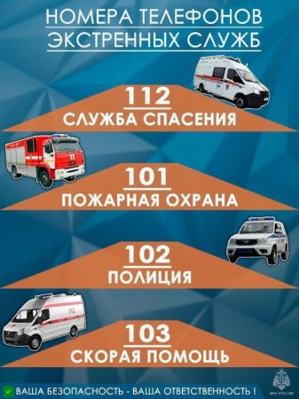 ��� ������ ���������� �������� ���������� �����