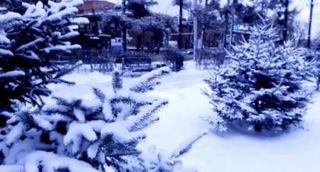 ����������� ����������� � ���������� �� ���������� ������� ��������� ������ ����������