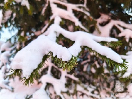 ����������� ����������� � ���������� �� ���������� ������� ��������� ������ ����������