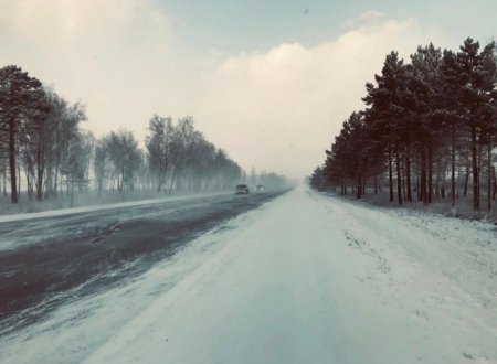 ����������� ������������� �� ��������� �������� ������� 5 ������