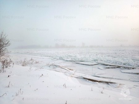 ������ ������������ ����������� ���� �� ������ �������� ��������� �������