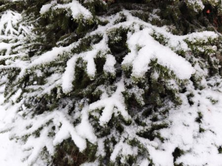 ������� ����������������� ������� ���������� � ��������� ������� � ����������� �����