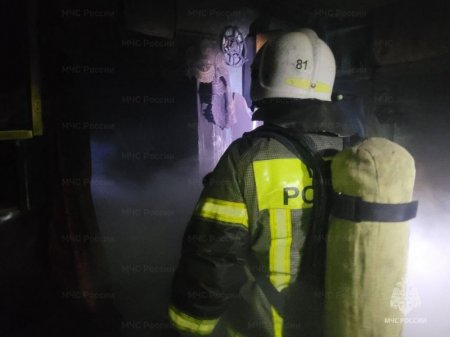 �������-������������ �������� ������������� ���� �� ������ �� ������� ���� ������ 100 �������