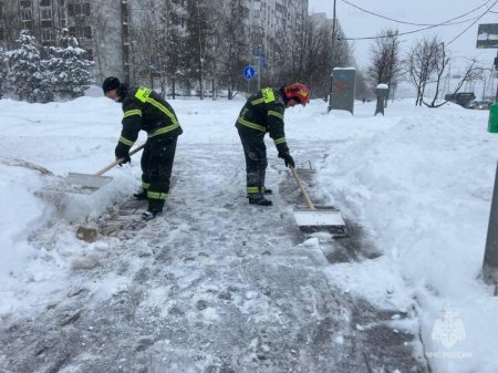 �������� ����������� ������� ������������� ����������� ���������