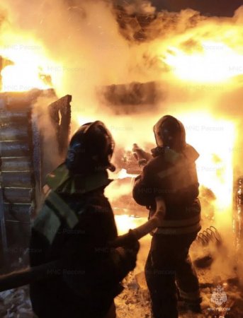 � ������ ���� � ������� ������������� 359 �������