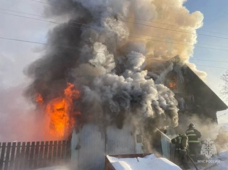 ������ ���� ���������