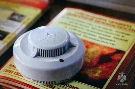 �������� ����� ��������, ���� ���������� ����