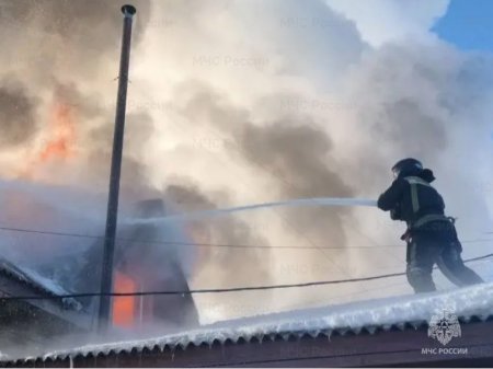 �� �������� ����� � ������� ���� �������� 12 �������