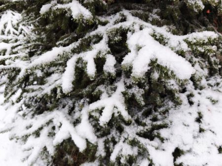 ��������� �������� ������ ��������� � �������� 22-26 �������