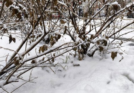 ��������� �������� ������ ���������� � �������� �� 4 �����