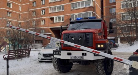 ����������� ������� ����������� �� ����� ��������� � ��������