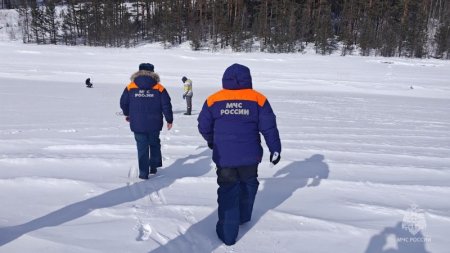 ��������������� ��������� �� ���������� ����� ����������� ������������ �������������