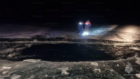 ��������� ������ ������������ ������� � ������� ���������� � ������ ���� ������� �� �������