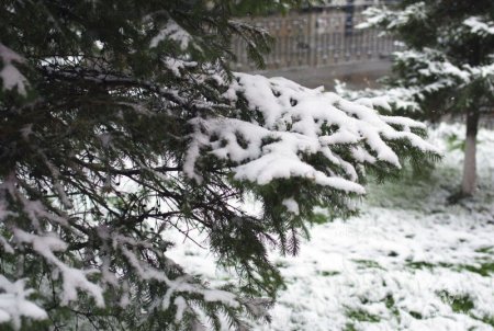 �� ������� �������� �������� ����������� ����������� ������� ��������� �������