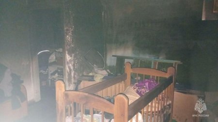 ��������� ������ 12 ������� �� ������ � �����