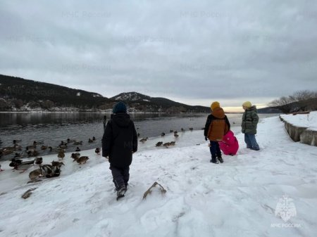 �������� ����� ����������