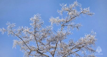 ���������� ����� ��������� � ���� ������� ��������� ������� 16 �������