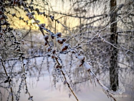 ������� ���� ��������� � ���� ������� ������� 24 �������