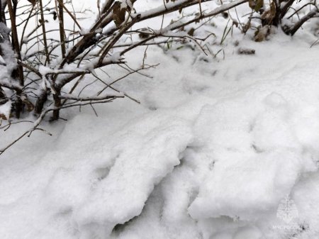 ������� �����, ������ ����, ������ ��������� ������� �� ������� 19 �������