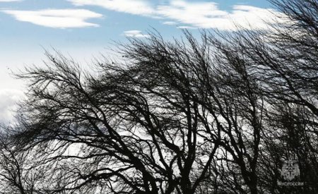 ������� ����� � �������� �� 15-20 �/� ��������� � �������� � �������� ������� ������� 17 �������