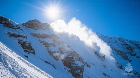 � ������ ������� ����������� �������� ���������