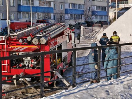 � ����������� ��������� ����������� ���������� �������-����������� ������ �� ���� �����