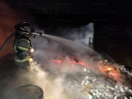 � ������ ����������� ������ �������� ��������� � ������ � ��������������