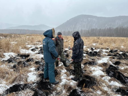 ����������� ��� ������ ��������� ��������� � ���� ������� � ��������������� ������