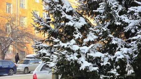 ��������� ����������� ������������� � ��������������� ����������������� �������� �������� 7 �����