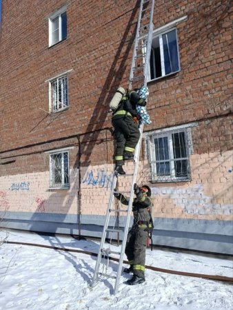 ��������� ��������� ������ ������������ ������� �� ������ � ��������