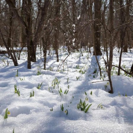 ��� �� ���������� � ����